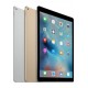 iPad Pro 12.9" - 128GB - Cellular